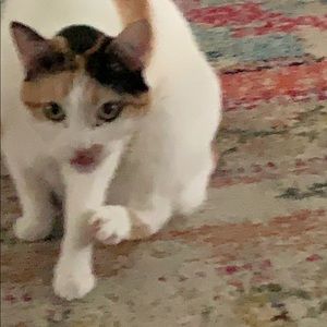 Meet your Posher, Lorna